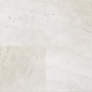 REX I BIANCHI WANDTEGEL MAT GERECTIFICEERD 60 x 60 cm SORRENTO 726788