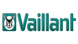 VAILLANT KABEL C1C2 VOOR VMS8 0020218159